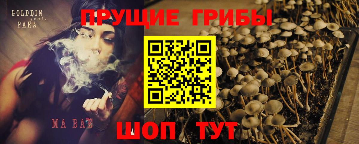 Псилоцибиновые грибы ЛСД  Вход с VPN  Назарово 